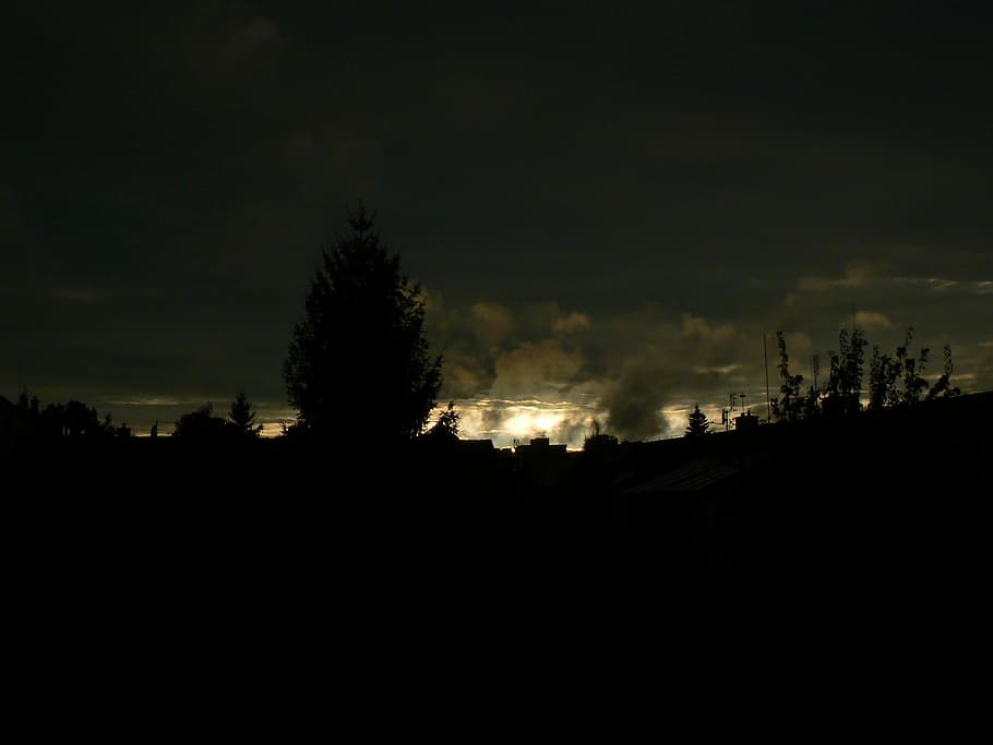 tmavý, strom, světlo, mrak, strop, temný, strom, nebe, mrak, strop, západ slunce, silueta, noc, krajina, venku, nikdo, rostlina, exteriér budovy, Příroda, mrak - nebe, kopie prostor, architektura, životní prostředí, klidné scény, klid, stavba, krása v přírodě, scenics - příroda, růst, znečištění ovzduší, 2K