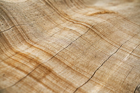 uten navn, tre, tekstur, shell, makro, detalj, brun, tømmer, mønster, trefiberplater, trevev, gammel, gul, bakgrunn, motiv, dekor, farger, naturlig, abstrakt, design, materiale, strukturert, natur, trekorn, ingen folk, gammeldags, full ramme, tre - materiale, nærbilde, tre ring, ujevn, anlegg, gulv, selektiv fokusering, naturlig mønster, teksturert effekt, bark, abstrakte bakgrunner, overflatenivå, 5K, CC0, offentlig domene, opphavsrett gratis