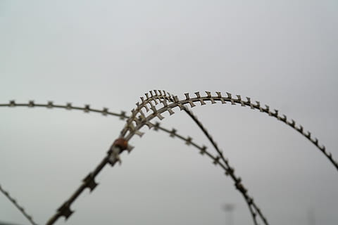 nato wire, barbed wire, sharp, razor razor sharp, protection, obstacle, metal, s wire, z wiring, razor wire, military range, military zone, no people, safety, wire, fence, boundary, security, barrier, close-up, selective focus, sign, single object, spiral, nature, day, communication, studio shot, 5K, CC0, public domain, royalty free