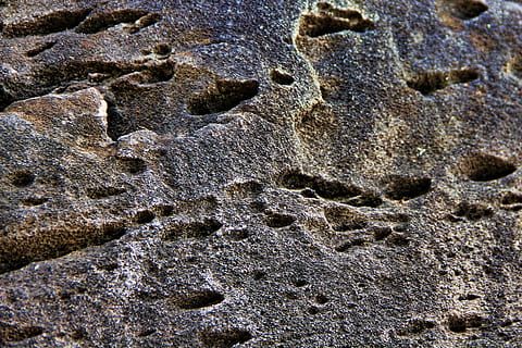 foto, nero, forata, calcestruzzo, superficie, pietra, modello, struttura, sfondo, astratto, grigio, natura, parete, sfondi, strutturato, avvicinamento, animali allo stato selvatico, fauna selvatica, nessuno, all'aperto, un animale, fotogramma intero, giorno, terra, stampare, sabbia, vista dall'alto, orma di Zampa, orma, spiaggia, dettaglio, solido, traccia - impronta, ruvido, 4K, CC0, dominio pubblico, privo di copyright