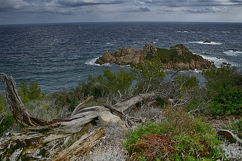 mar, tribu, oceà, idíl·lic, fusta, paisatge, tempesta reguladora, aigua, terra, platja, naturalesa, medi ambient, cel, bellesa a la natura, escenics - natura, planta, cap gent, línia de costa, tranquil·litat, rock - object, rock, núvol - cel, escena tranquil·la, a l'aire lliure, horitzó sobre l’aigua, 5K, CC0, domini públic, lliure de regalies