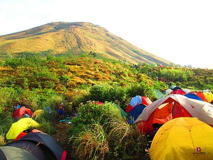 indonesian, mount, ascent, east java, camp, tent, morning, group of people, adventure, plant, mountain, camping, men, leisure activity, scenics - nature, nature, beauty in nature, real people, environment, travel, people, holiday, day, tree, land, lifestyles, outdoors, 4K, CC0, public domain, royalty free
