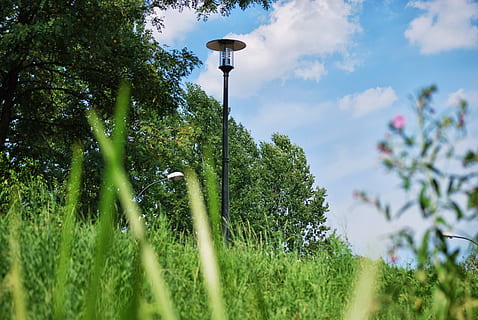 lanterna, erba, verde, estate, Polonia, pianta, crescita, albero, cielo, colore verde, natura, bellezza nella natura, Inquadratura dal basso, nessuno, giorno, lampione, attrezzatura per l'illuminazione, la tranquillità, nuvola - cielo, messa a fuoco selettiva, strada, terra, all'aperto, scena tranquilla, concentrarsi sullo sfondo, 4K, CC0, dominio pubblico, privo di copyright
