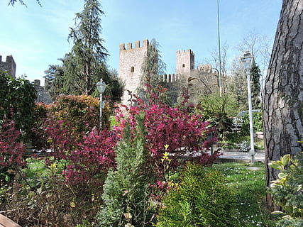 have, slot, forår, torre, middelalderlig, træ, flor, himmel, este, Italien, plante, natur, arkitektur, blomst, vækst, blomstrende plante, bygget struktur, dag, skønhed i naturen, bygning udvendig, ingen mennesker, bygning, historie, udendørs, friskhed, sollys, grøn farve, fortiden, 4K, CC0, offentligt domæne, royaltyfrie