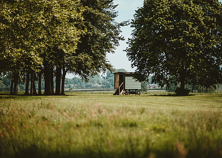 foto, verd, camp de gespa, arbres, arbre, glamping, pas, herba, camp, cabana de pastors, la cabana del pastor, planta, terra, creixement, naturalesa, color verd, dia, tranquil·litat, arquitectura, cap gent, bellesa a la natura, paisatge, medi ambient, escena tranquil·la, estructura construïda, a l'aire lliure, cel, escenics - natura, 5K, CC0, domini públic, lliure de regalies