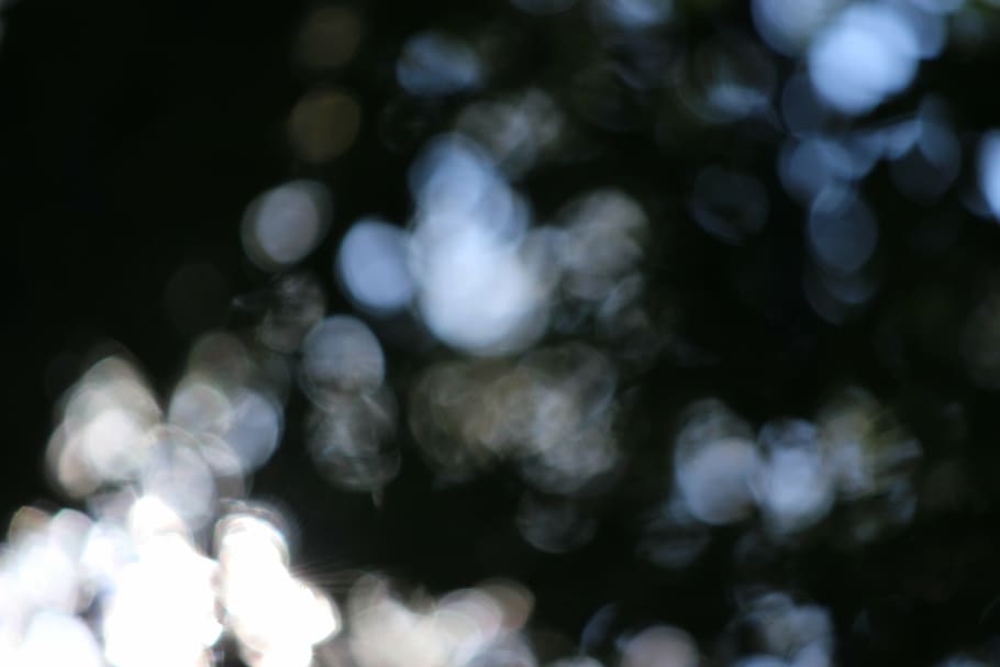 bokeh, bosque, fondo, ligero, arboles, fuera de foco, desenfocado, nadie, enfoque selectivo, antecedentes, de cerca, naturaleza, modelo, resumen, al aire libre, iluminado, decoración, crecimiento, día, fotograma completo, el color blanco, destello de lente, brillante, equipo de iluminación, planta, 5K