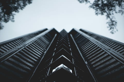 Basso, fotografia ad angolo, grattacielo, costruzione, verme, fotografia di vista, edificio della città, architettura, struttura, grigio, scala, nero, rustico, all'aperto, esterno, dof poco profondo, alzando lo sguardo, astratto, simmetria, cielo, esterno dell'edificio, struttura costruita, Inquadratura dal basso, giorno, albero, natura, nessuno, pianta, città, cielo sereno, concentrarsi sulle conoscenze acquisite, avvicinamento, tetto, modello, edificio per uffici esterno, ripetizione, 4K, CC0, dominio pubblico, privo di copyright