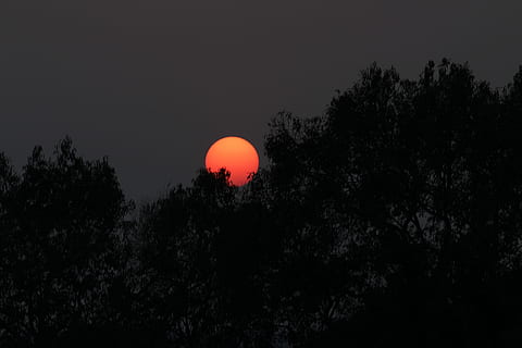 por do sol, vermelho, árvore, silhueta, lua, vermelho, árvore, Sombrio, noite, beleza na natureza, natureza, tranquilidade, eclipse, céu, plantar, cena tranquila, scenics - natureza, ninguém, crescimento, espaço, lua cheia, ao ar livre, balão, 5K, CC0, domínio público, royalty free