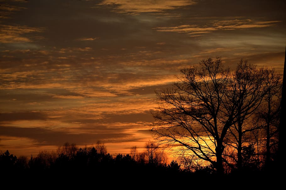 Sonnenuntergang, Dämmerung, Abend, Sonne, Himmel, Die Sonne, Wolken, west, Landschaft, Natur, Licht, Stimmung, Aussicht, Baum, Abendwolken, Geäst, die Strahlen, Schatten, Panorama, Silhouette, szenen, Schönheit in der Natur, wolke - himmel, Szenen - Natur, orange Farbe, ruhige Szene, Pflanze, Ruhe, keine Leute, kahler Baum, Nicht-städtische Szene, idyllisch, draußen, dunkel, romantischer Himmel, 5K