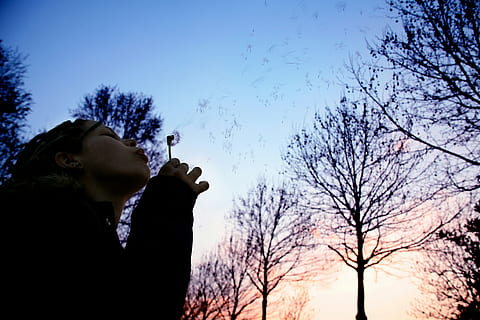 donna, soffiando, bolle, alberi senza foglie, alberi, persone, all'aperto, natura, uomini, albero, silhouette, cielo, retroilluminato, una persona, maschi, albero nudo, pianta, colpo alla testa, Inquadratura dal basso, persone reali, attività di svago, ritratto, tramonto, stili di vita, vista laterale, analizzare, cercare, guardare, cielo sereno, giorno, acconciatura, 4K, CC0, dominio pubblico, privo di copyright