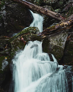 timelapse bilde, foss, time-lapse fotografering, fossefall, omgitt, bergformasjon, Logg, gren, tre, stein, naturskjønnhet - natur, lang eksponering, skjønnhet i naturen, skog, rennende vann, bevegelse, vann, rock-objekt, sløret bevegelse, fast, strømmer, land, natur, miljø, ingen folk, ikke-urbane scene, kraft i naturen, utendørs, regnskog, fallende vann, 4K, CC0, offentlig domene, opphavsrett gratis