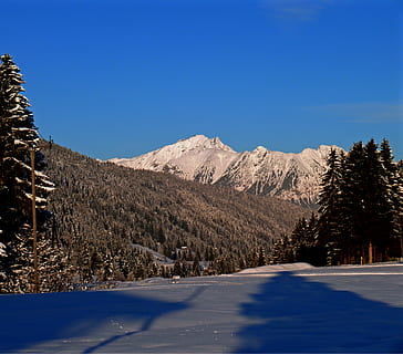 Schneespuren, Schnee, Spuren, kalt, Eis, Winter, Schneespur, winterlich, Nachdruck, Spur, Schneelandschaft, Pfotenabdrücke, schneebedeckt, Winterstimmung, Berg, Natur, Landschaft, draußen, Baum, Wald, szenen, Blau, Himmel, kalte Temperatur, Szenen - Natur, Schönheit in der Natur, ruhige Szene, Pflanze, Ruhe, Umgebung, klarer Himmel, Gebirge, keine Leute, Nicht-städtische Szene, Kiefer, schneebedeckter Berg, Nadelbaum, Kiefernwald, Gipfel, 5K, CC0, gemeinfrei, lizenzfrei