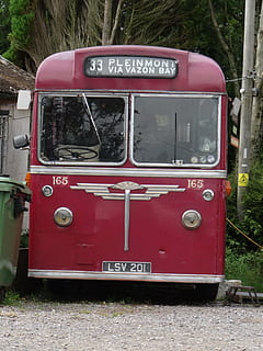 autobus, vecchi tempi, vecchio, veicolo, rosso, modo di trasporto, giorno, veicolo terrestre, testo, mezzi di trasporto, nessuno, natura, sceneggiatura occidentale, comunicazione, numero, albero, trasporto pubblico, all'aperto, terra, pianta, avvicinamento, vetro - materiale, campo, crescita, 4K, CC0, dominio pubblico, privo di copyright