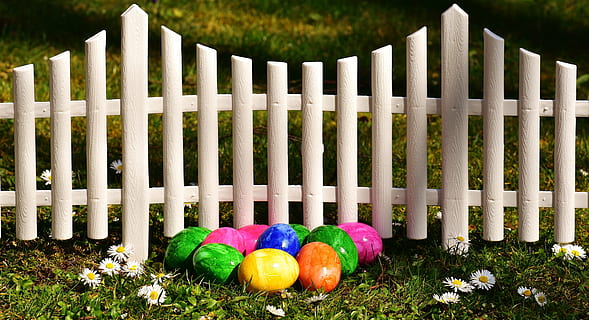 Stein in verschiedenen Farben, Weiß, hölzern, Tor, Ostern, Ostereier, Garten, Zaun, Osterdeko, Ei, bunt, Frohe Ostern, Osterei malen, farbig, Farbe, Frühling, bemaltes Ei, Dekoration, gefärbtes Ei, Osterthema, Ostergruß, mehrfarbig, Osterei, Kulturen, Variation, Gras, große gruppe von gegenständen, draußen, keine Leute, Blume, Pflanze, Grenze, Lebensmittel, Barriere, Lattenzaun, Natur, Essen und Trinken, Frische, gesundes Essen, Tag, Holz - Material, blühende Pflanze, Feld, Vorder- oder Hinterhof, 5K, CC0, gemeinfrei, lizenzfrei