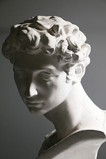 plâtre, classique, la photographie, buste, art, grec, mâle, tête, prototype, tête humaine, visage humain, statue, partie du corps humain, portrait d'art, sculpture, représentation humaine, représentation, art et Artisanat, ressemblance féminine, prise de vue en studio, fermer, ressemblance masculine, à l'intérieur, personne, la créativité, objet unique, mannequin, partie du corps, coupé, vue de profil, 5K, CC0, domaine public, libre de droits