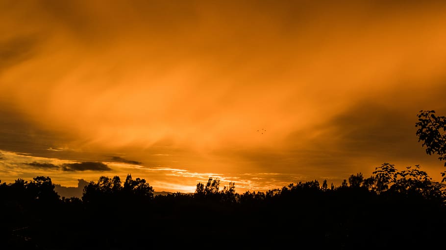 serenitat, silhouetto, arbres, daurat, hores, posta de sol, sortida del sol, núvol, taronja, silueta, núvol - cel, arbre, cel, bellesa a la natura, color taronja, escenics - natura, planta, medi ambient, cap gent, tranquil·litat, paisatge, cel dramàtic, naturalesa, escena tranquil·la, fosc, cloudscape, bosc, a l'aire lliure, arbre d’arbre, pi, 5K