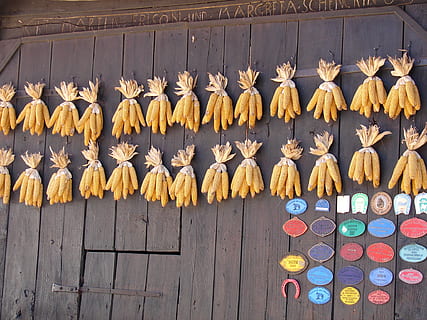 Mais, fienile, Alsazia, grande gruppo di oggetti, nessuno, variazione, legno - materiale, sospeso, di fila, scelta, preparativi, abbondanza, cibo, fianco a fianco, cibo e bevande, ordine, mercato, giorno, multicolore, in vendita, essiccazione, Al dettaglio, bancarella, saldi, 1080P, CC0, dominio pubblico, privo di copyright