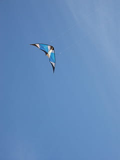 Drachen, Himmelblau, blau, wind, Lenkung, Himmel, Blau, Wind, Steuerdrache, fliegen, fliegend, klarer Himmel, in der Luft, Vogel, ein Tier, Flachwinkelansicht, kopieren sie platz, die Flügel ausbreiten, Tag, Natur, Tierthemen, Tier, Tiere in freier Wildbahn, Wirbeltier, Tierwelt, Drachen - Spielzeug, keine Leute, Sport, draußen, 1080P, CC0, gemeinfrei, lizenzfrei
