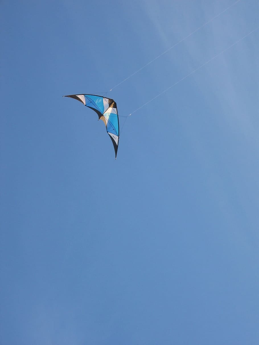 drac, cel blau, blau, vent, direcció, cel, blau, vent, drac de direcció, volar, volant, cel clar, a l'aire, ocell, un animal, vista d’angle baix, còpia espai, ales separades, dia, naturalesa, temes d'animals, animal, animals a la natura, vertebrats, fauna animal, cometa - joguina, cap gent, esport, a l'aire lliure, 1080P