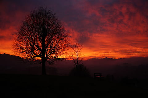 Sonnenuntergang, Baum, ästhetisch, Geäst, Stamm, einsamer Baum, Himmel, abendstimmung, Abendhimmel, feurig, rot, Gelb, Orange, Licht, Gegenlicht, Wolken, bewölkter Himmel, Wolkenglühen, einzeln stehend, individuell, isoliert, glühend, Burstweid, Wyssachen, Schweiz, einzelner Baum, kahler Baum, Silhouette, draußen, Landschaft, keine Leute, Nacht-, Natur, orange Farbe, Schönheit in der Natur, Umgebung, dunkel, Nebel, Szenen - Natur, Land, Pflanze, romantischer Himmel, 8K, CC0, gemeinfrei, lizenzfrei