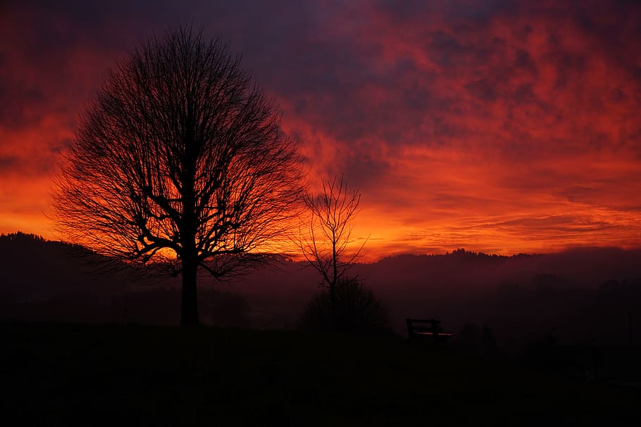 tramonto, albero, estetico, rami, tribù, albero solitario, cielo, abendstimmung, cielo serale, ardente, rosso, giallo, arancia, luce, luce posteriore, nuvole, cielo appannato, bagliore di nuvole, single standing, individualmente, isolato, raggiante, burstweid, Wyssachen, Svizzera, albero singolo, albero nudo, silhouette, all'aperto, paesaggio, nessuno, notte, natura, colore arancione, bellezza nella natura, ambiente, buio, nebbia, scenics - natura, terra, pianta, cielo romantico, 8K