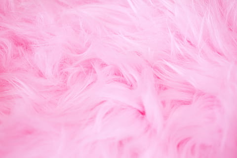 pell rosa, rosa, plomes, textura, fons, esponjós, color rosa, suavitat, cap gent, marc complet, tèxtil, a l'interior, material, primer pla, color pastís, tir de l'estudi, pell, llana, resum, moviment, riquesa, enfocament selectiu, ploma, luxe, fons abstractes, que flueix, 5K, CC0, domini públic, lliure de regalies