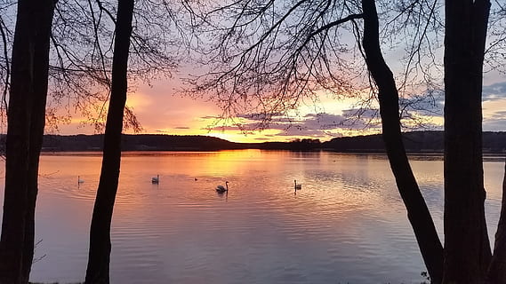 llac, posta de sol, cel, núvols, paisatge, masuria, tarda, el silenci, Polònia, arbre, aigua, escenics - natura, bellesa a la natura, reflexió, escena tranquil·la, silueta, tranquil·litat, planta, color taronja, naturalesa, arbre nu, ocell, idíl·lic, tronc, davant del mar, cap gent, a l'aire lliure, ànec, 2K, CC0, domini públic, lliure de regalies