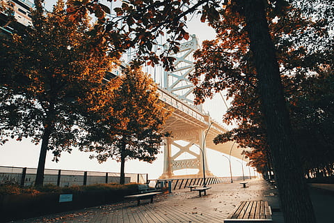 6 h, bancs, camí, pont de metall, durant el dia, pont, posta de sol, sortida del sol, estructura, arbre, planta, tardor, arquitectura, estructura construïda, canvi, naturalesa, cel, dia, cap gent, transport, el camí a seguir, tronc de l'arbre, creixement, direcció, tronc, a l'aire lliure, branca, llum solar, pont - estructura feta per l'home, 4K, CC0, domini públic, lliure de regalies