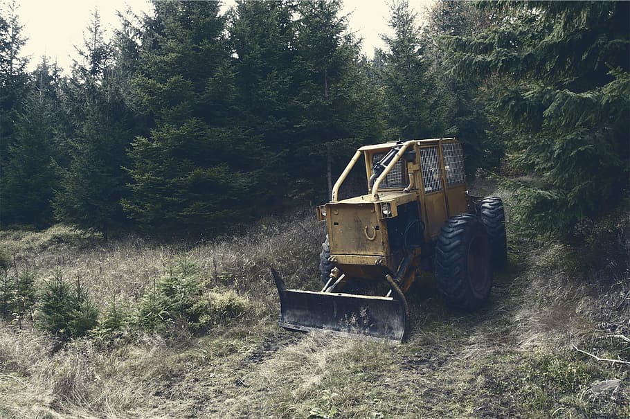 carregador frontal, arbres, groc, retroexcavadora, carregador, envoltat, verd, pi, durant el dia, tractor, construcció, rural, herba, cap gent, dia, paisatge, a l'aire lliure, arbre, naturalesa, planta, terra, maquinària, bosc, creixement, camp, color verd, indústria, transport, medi ambient, llum solar, manera de transport, equipament, 1080P