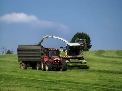Germania, paesaggio, panoramico, azienda agricola, combinare, trattore, carro, Caricamento in corso, campo, raccolto, raccogliere, cielo, nuvole, rurale, nazione, campagna, natura, al di fuori, all'aperto, lavoro agricolo, mezzi di trasporto, veicolo terrestre, modo di trasporto, macchinari agricoli, erba, terra, attrezzatura agricola, pianta, giorno, agricoltura, colore verde, ambiente, camion, scena rurale, contadino, 1080P, CC0, dominio pubblico, privo di copyright