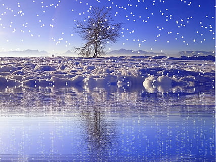 vinter, sne, snefald, vinterlige, kold, sne landskab, snekrystaller, snedækkede, vand, afspejling, himmel, plante, blå, træ, landskab, natur, skønhed i naturen, kold temperatur, miljø, ro, scenics - natur, rolig scene, ingen mennesker, belyst, udendørs, blødhed, 2K, CC0, offentligt domæne, royaltyfrie