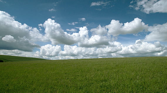 groen, grasland, wit, blauw, bewolkt, hemel, dag, wolk, wolken, wolken vorm, stapelwolk, zomerwolken, veld-, visie, landschap, breed, velden, wandelen, gerapporteerd, weide, natuur, wolk - lucht, landelijke scène, zomer, gras, landbouw, buitenshuis, land-, Vakantiebestemmingen, cloudscape, groene kleur, niet-stedelijke scène, milieu, scenics - natuur, horizon over land, horizon, kalmte, schoonheid in de natuur, fabriek, rustige scène, geen mensen, stedelijke skyline, vrijheid, wind, lente, 4K, CC0, publiek domein, royaltyvrij