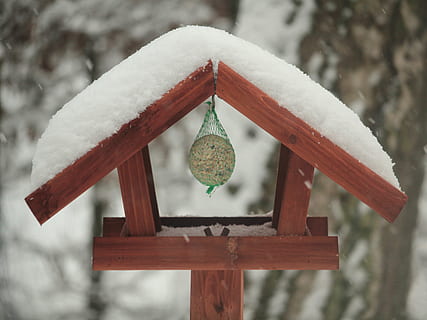 voliere, fede bolde, vinter, afhænge af, foder, fuglefrø, fugl feeder, fugl, fodring, mad, sne, hænge, kold temperatur, træ - materiale, dag, fokus på forgrunden, natur, ingen mennesker, træ, Frosset, udendørs, hængende, tæt på, hvid farve, jul, rød, is, bygget struktur, dekoration, sner, 4K, CC0, offentligt domæne, royaltyfrie