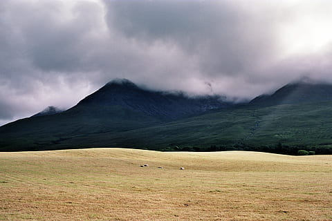 kopce, temný, mraky, hora, mountail, tráva, mrak, mlha, pastvina, vrchol, údolí, nebe, at1, kánon, 35 mm, filmphotography, kodak, životní prostředí, mrak - nebe, krajina, přistát, zvíře, zvířat, nikdo, savec, scenics - příroda, Příroda, krása v přírodě, hospodářských zvířat, domácí zvířata, rostlina, prostý, venku, 4K, CC0, veřejná doména, bez autorských práv