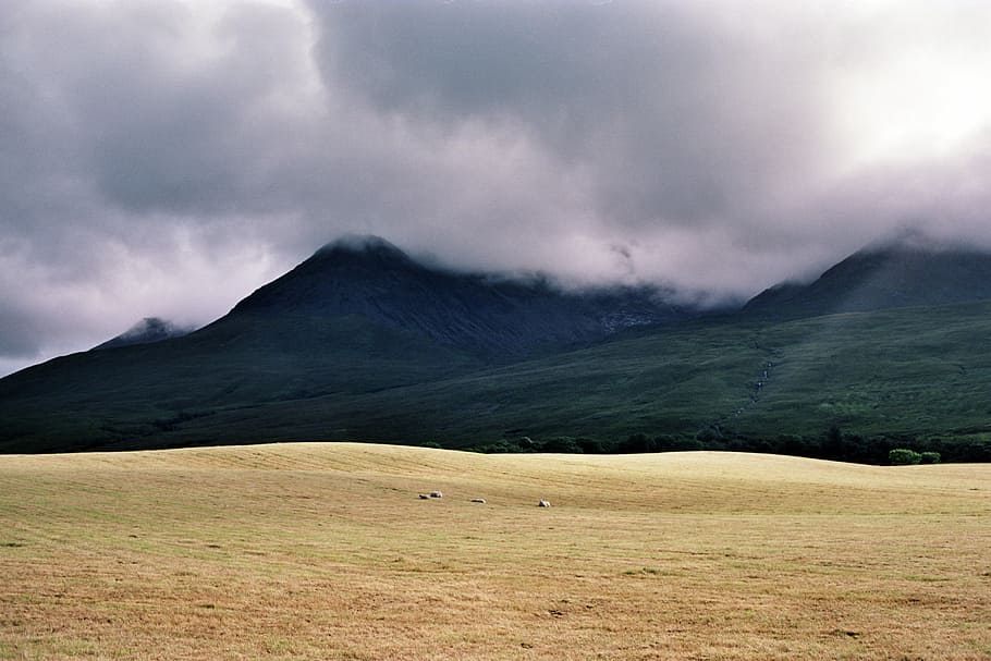 turons, fosc, núvols, muntanya, herba, núvol, boira, pastures, pic, vall, cel, at1, cànon, 35 mm, filmphotography, Kodak, medi ambient, núvol - cel, paisatge, terra, animal, temes d'animals, cap gent, mamífer, escenics - natura, naturalesa, bellesa a la natura, bestiar, animals domèstics, fauna animal, planta, plana, a l'aire lliure, 4K