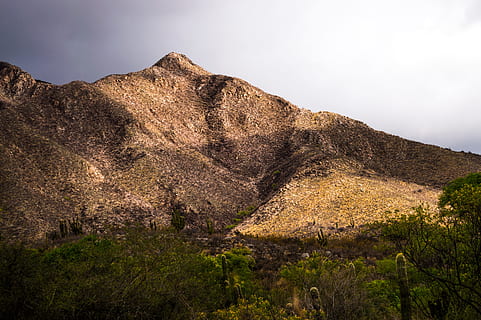 photo, mountain, forest, cactuses, clouds, daylight, grass, landscape, mountain peak, nature, nature photography, outdoors, plants, rocks, scenic, sky, trees, view, land, scenics - nature, environment, no people, plant, beauty in nature, travel destinations, travel, mountain range, tourism, day, tranquility, architecture, non-urban scene, 5K, CC0, public domain, royalty free
