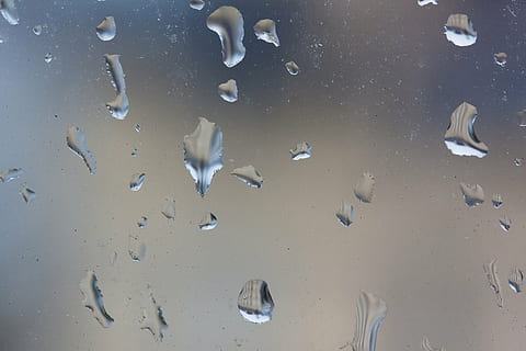 regn, regndråbe, vindue, dryppe, våd, beaded, mikrokosmos, makro, natur, vand, ingen mennesker, fuld ramme, tæt på, indendørs, dyr, baggrunde, dråbe, hvirveldyr, dyre temaer, fisk, dyreliv, hav, svømning, dag, dyr i naturen, marine, fiskeskole, 4K, CC0, offentligt domæne, royaltyfrie