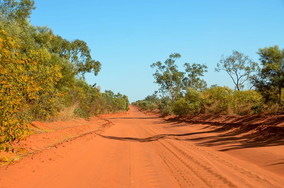 rødt sand, ujævn, cape leveque, sand, vej, outback, Australien, fjern, Busk, eventyr, grusvej, tørt klima, træ, landskab, plante, himmel, skønhed i naturen, natur, miljø, scenics - natur, skyfri himmel, jord, sollys, ro, dag, vejen frem, ingen mennesker, rolig scene, transportmidler, ørken, udendørs, klima, 1080P