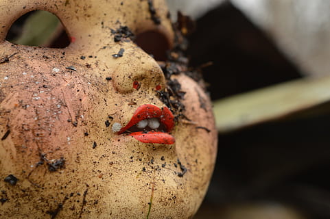 Mädchen Maske, rot, Lippen, Puppe, Schmutz, alt, Antiquität, Lebensmittel, Nahansicht, keine Leute, ein Tier, Tag, draußen, selektiver Fokus, Tiere in freier Wildbahn, Obst, Natur, Tierwelt, Fokus auf den Vordergrund, Körperteil, Insekt, Essen und Trinken, 5K, CC0, gemeinfrei, lizenzfrei