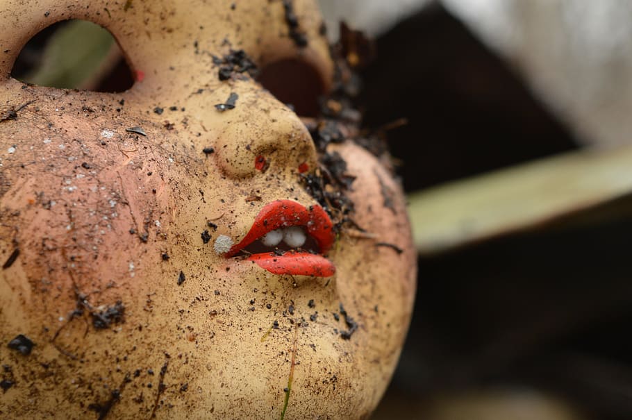 Mädchen Maske, rot, Lippen, Puppe, Schmutz, alt, Antiquität, Lebensmittel, Nahansicht, keine Leute, ein Tier, Tag, draußen, selektiver Fokus, Tiere in freier Wildbahn, Obst, Natur, Tierwelt, Fokus auf den Vordergrund, Körperteil, Insekt, Essen und Trinken, 5K