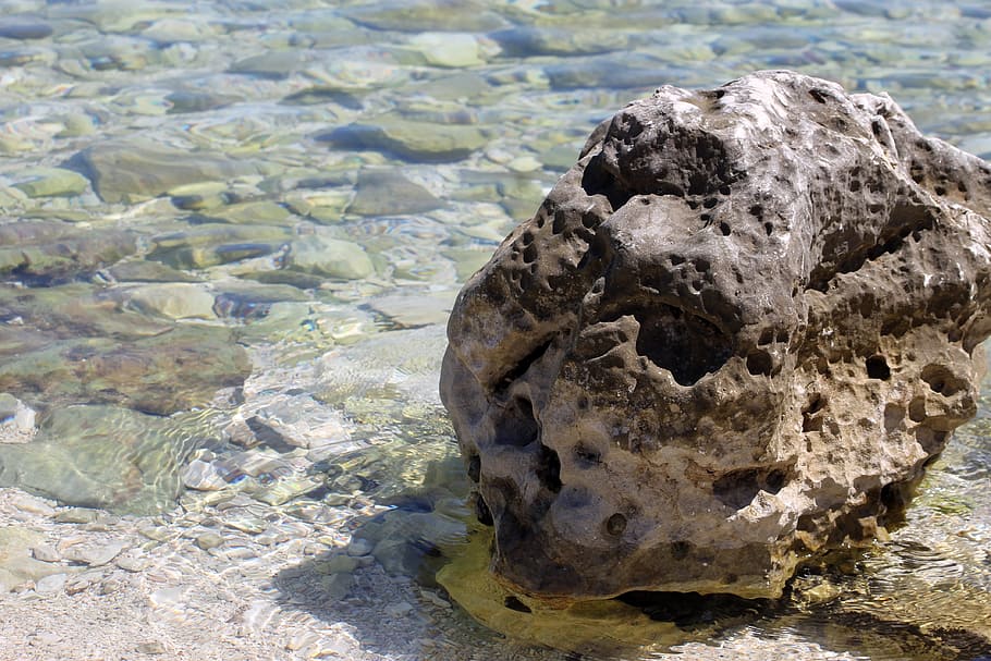 pietra, buco, struttura, campione, che perde, crepa, superficie, acqua, mare, acqua di mare, parte, ghiaia, roccia - oggetto, natura, pietra - oggetto, spiaggia, nessuno, all'aperto, strutturato, giorno, roccia, solido, luce del sole, avvicinamento, fauna selvatica, vista dall'alto, animali allo stato selvatico, animale, temi animali, bellezza nella natura, un animale, concentrarsi sulle conoscenze acquisite, marino, 4K