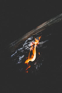 sort trækul, ild, flamme, træ, brænding, lejrbål, dyre temaer, dyr, orange farve, ingen mennesker, tæt på, dyreliv, dyr i naturen, natur, varme - temperatur, vand, et dyr, svømning, kopiere plads, udendørs, fisk, sort baggrund, marine, 5K, CC0, offentligt domæne, royaltyfrie