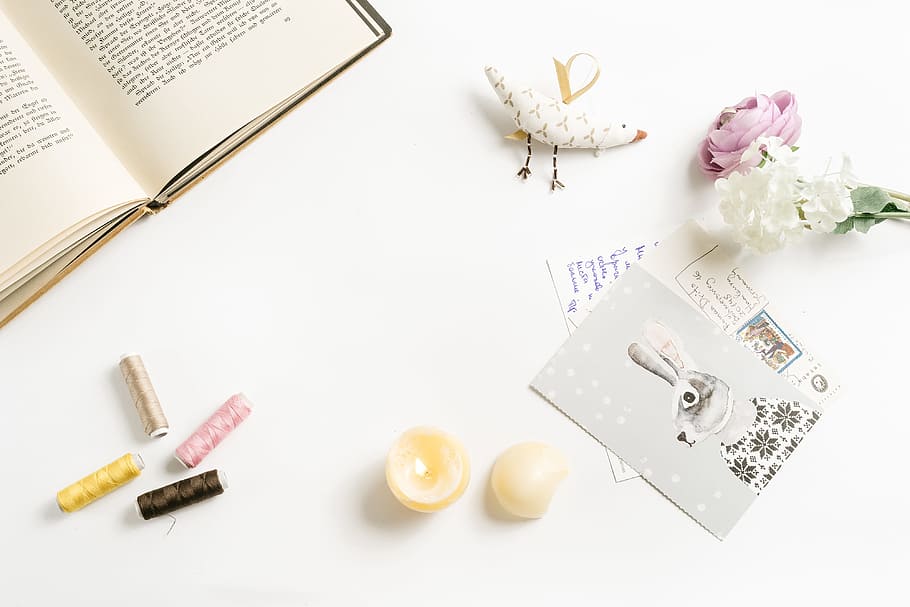 Foto, Hase, Postkarten, gestylt, Konzepte und Ideen, Nahansicht, keine Leute, Papiergeld, Reichtum, Geschenk, Blume, Studioaufnahme, blühende Pflanze, Pflanze, Natur, weißer Hintergrund, Papier-, Essen und Trinken, Schönheit in der Natur, drinnen, Rose, Stift, Buch, Text, Veröffentlichung, Stillleben, Getränk, Emotion, 4K