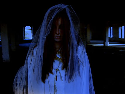 woman, wearing, white, dress, veil, ghost, halloween, horror, bride, death, haunted house, girl, night, one person, portrait, headshot, front view, fear, long hair, dark, spooky, real people, indoors, women, emotion, adult, lifestyles, hair, hairstyle, hood - clothing, evil, 2K, CC0, public domain, royalty free