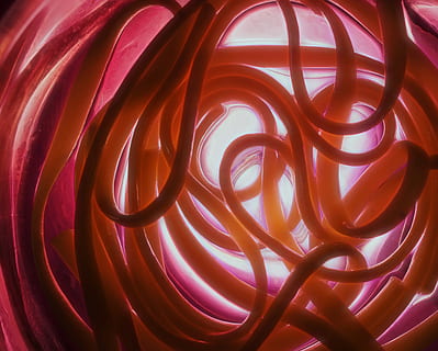 Gelb, Kurvenlinien Tapete, modern, abstrakt, Design, kreativ, Digital, Muster, Farbe, futuristisch, modisch, Licht, bunt, Spaghetti, Pasta, Lebensmittel, Italienisch, Weiß, Mahlzeit, Kochen, gesund, lecker, frisch, Basilikum, Abendessen, traditionell, hausgemacht, rot, Nudeln, Fettuccine, Geschmack, mehrfarbig, Hintergrund, Vollbild, Hintergründe, keine Leute, Nahansicht, drinnen, Spiral-, Stillleben, glühend, Elektrizität, Menschen gemacht Objekt, High Angle View, Mann gemacht, Detail, Kunststoff, Gruppe von Objekten, Licht - natürliches Phänomen, verheddert, 2K