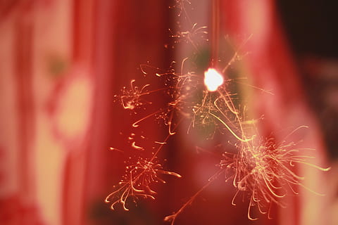 Plasma-Ball, abstrakt, Unscharf gestellt, rot, Weihnachten, Hintergründe, Feier, keine Leute, Nahansicht, Fokus auf den Vordergrund, drinnen, Tag, selektiver Fokus, Pflanze, Schönheit in der Natur, Natur, blühende Pflanze, Wachstum, Zerbrechlichkeit, Verletzlichkeit, Blume, draußen, Sukkulente, Kaktus, Makro, Sonnenlicht, Frische, Weichheit, 1080P, CC0, gemeinfrei, lizenzfrei