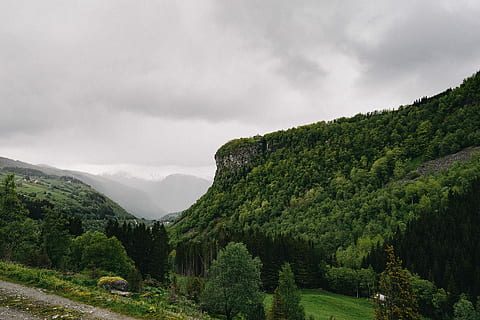verd, arbres, turó, muntanya, ennuvolat, cel, negre, núvols, gris, paisatges, muntanyes, naturalesa, paisatge, escenics, bosc, arbre, núvol - cel, a l'aire lliure, color verd, estiu, vall, cap gent, Serra, escena rural, cloudscape, bellesa a la natura, planta, tranquil·litat, escenics - natura, creixement, escena tranquil·la, escena no urbana, dia, medi ambient, terra, fullatge, idíl·lic, arbre de coníferes, 1080P