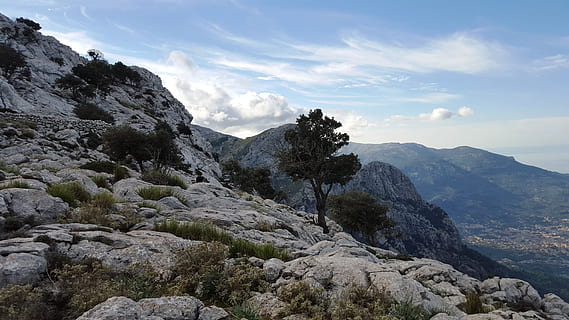 puncak gunung, tamasya, mallorca, gunung, teratas, melihat tramutana, alam, tidak ada orang, langit, hari, di luar rumah, scenics - alam, keindahan di alam, lingkungan Hidup, pemandangan, batu, adegan yang tenang, awan - langit, ketenangan, batu - benda, pegunungan, padat, adegan non-urban, menanam, tanah, pembentukan, 5K, CC0, domain publik, bebas royalti