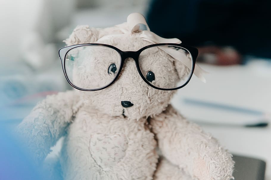 branco, Urso, pelúcia, brinquedo, vestindo, Óculos, peluche, recheado, óculos, Diversão, brinquedo de pelúcia, urso Teddy, infância, representação, canino, humor, cão, um animal, fechar-se, fofa, focar em primeiro plano, pessoas, 5K