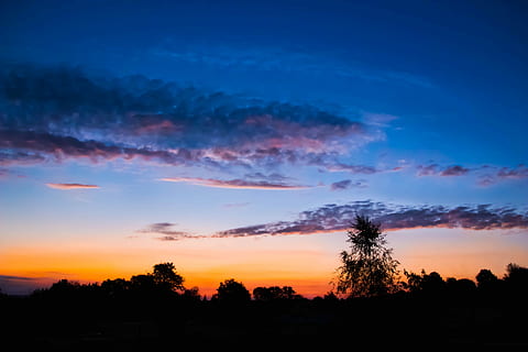 Sunrise, Clouds, Dissolving, sky, dissolving clouds, morgenstimmung, mood, morning, skies, trees, good morning, morning light, lighting, romantic, atmospheric, morgenrot, silhouette, sunset, nature, tree, dusk, scenics, tranquil scene, cloud - sky, tranquility, beauty in nature, plant, scenics - nature, no people, landscape, environment, orange color, growth, non-urban scene, idyllic, outdoors, blue, romantic sky, 5K, CC0, public domain, royalty free